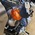 HARLEY-DAVIDSON FXDL LOW RIDER 5HD ABS