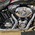 HARLEY-DAVIDSON FLSTSC HERITAGE SOFTAIL SPRINGER