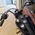 HARLEY-DAVIDSON FXDB 5HD STREET BOB ABS