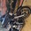 HARLEY-DAVIDSON FLHXS STREET GLIDE SPECIAL 5HD