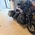 HARLEY-DAVIDSON FLHX STREET GLIDE BTW MOTOR
