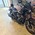 HARLEY-DAVIDSON FXLRS LOW RIDER S