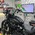 FXBB Street Bob