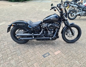 FXBB Street Bob