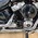 HARLEY-DAVIDSON 5HD FXST SOFTAIL STANDAARD