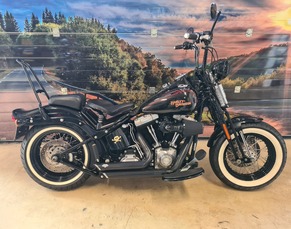 HARLEY-DAVIDSON FLSTSB CROSS BONES