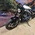 HARLEY-DAVIDSON XL 1200 CX 5HD ROADSTER
