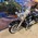 HARLEY-DAVIDSON FLHRC ROAD KING CLASSIC 5HD
