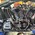 Stage 4 Softail twincam