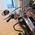 HARLEY-DAVIDSON FLHR ROAD KING