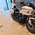 HARLEY-DAVIDSON FXLRST 5HD LOW RIDER ST