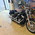 HARLEY-DAVIDSON FXST 5HD SOFTAIL STANDAARD