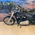 HARLEY-DAVIDSON FXST 5HD SOFTAIL STANDAARD